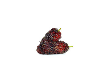 Mulberry Isolated on white background