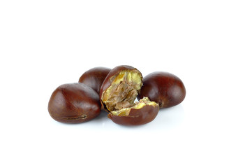 Roasted Chestnut on white background