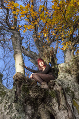 Ragazza dai capelli rossi sopra un albero 