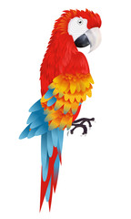 Fototapeta premium A bright macaw parrot isolated on white background illustration