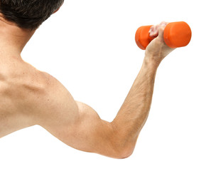 Hand bent at the elbow, holding a dumbbell