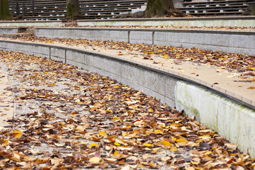 落葉の散らばった階段