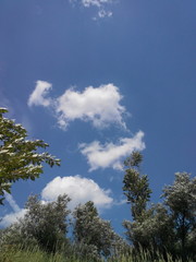 Летний день