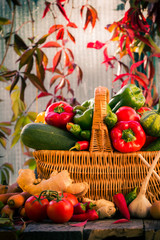 basket full fresh vegetables rural setting