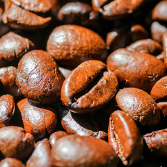 Closeup of black coffee beans with focus on one