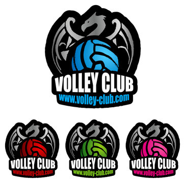logo volley dragon