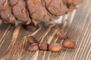 Cedar cone and nuts