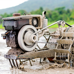 Thai farmer using walking tractors for cultivated soil for rice plantation