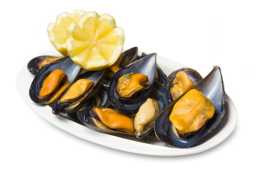 Mejillones