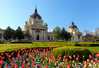 Fototapeta na wymiar Szechenyi Spa with flower - Budapest, Hungary