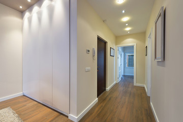 Anteroom interior in modern apartment