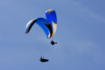 paragliders