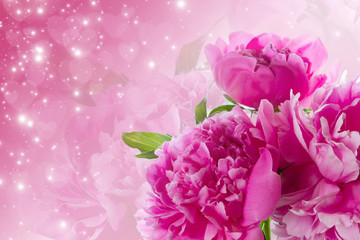 Obraz premium Bouquet of pink peonies.