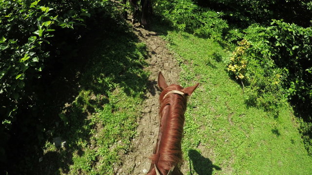Astride on horse