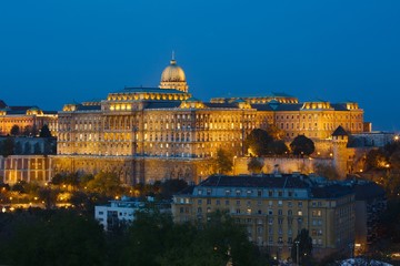 Fototapeta premium Castle of Buda