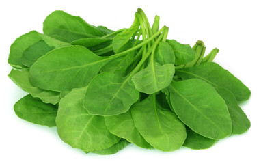 Fresh Spinach
