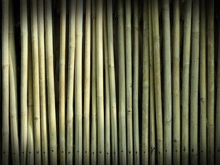 Abstract bamboo wall; colored filtered background