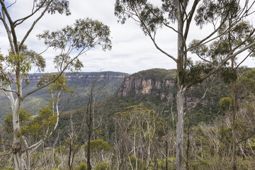 The famous Three Sisters rock formation in the Blue Mountains Na