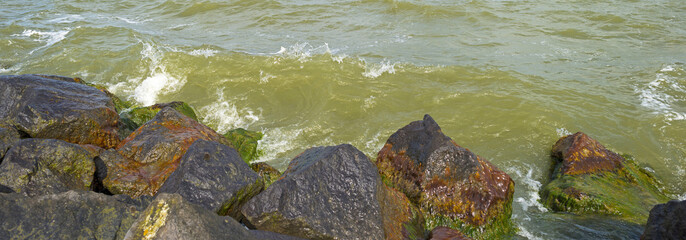 Waves along a dike of basalt stones