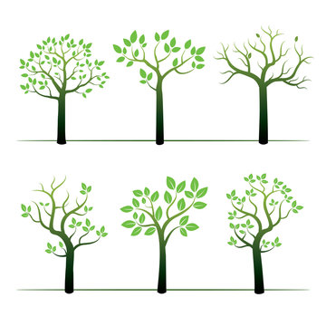 Set of green vector trees