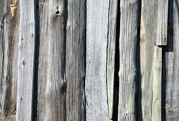 wooden wall background