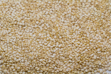 White Quinoa background selective focus