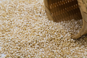 white quinoa selewctive focus