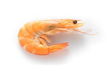 Boiled Shrimp on White background