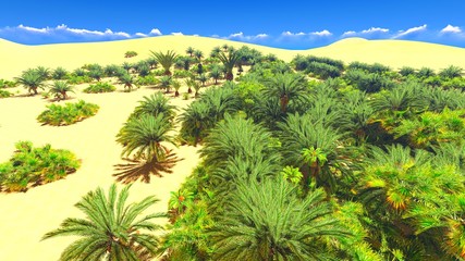Fototapeta na wymiar African oasis on Sahara