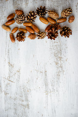 Cones and acorns on a white wooden table