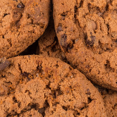 Chocolate chip cookies isolated on white