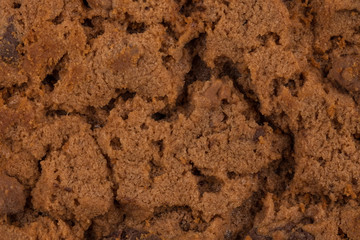 Chocolate chip cookies isolated on white