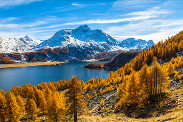 Stunning view of Sils lake and Piz da la Margna in golden autumn