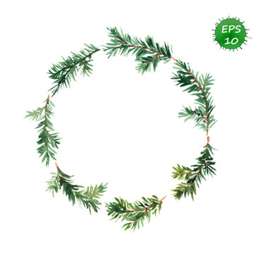Spruce wreath. Watercolor vector