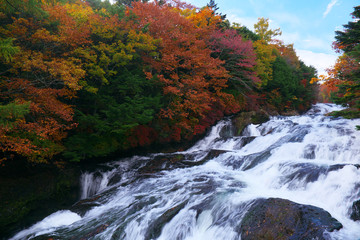 紅葉と湯川(奥日光 竜頭の滝付近)