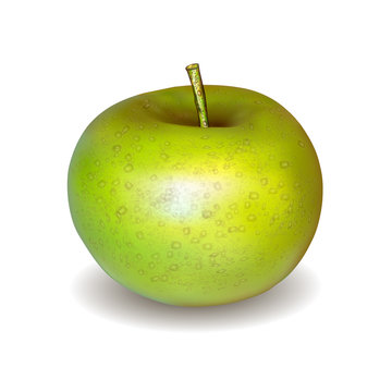 Vector illustration of detailed big shiny green apple
