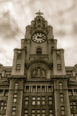 Royal Liver Building Facade low angle
