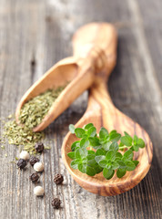 Spices on a wooden background