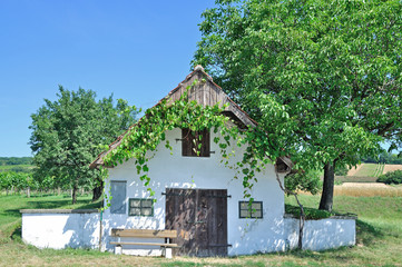 an der bekannten Kellergasse in Prellenkirchen nahe dem Neusiedler See,Österreich