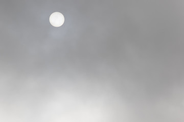 Obraz premium Słońce przez mgłę