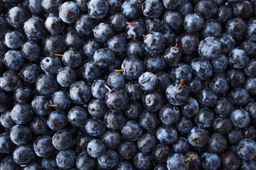 Blueberries background