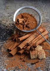 Сocoa powder, cinnamon sticks and anise