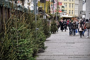 Obraz premium Christmas trees on sale and passing people at Market in Cologne, Germany