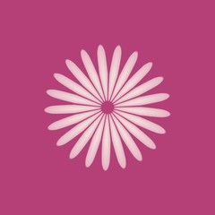 Simple flower on a pink background