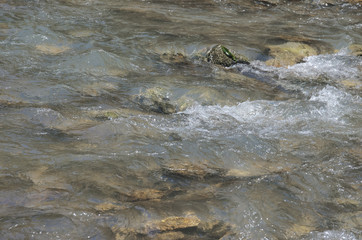 Stream in the mountains. Stream among stones. Nature background.