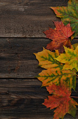 Naklejka na ściany i meble Autumn background with colorful leaves