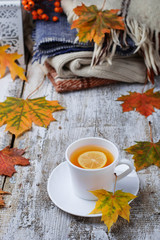 Cup of  tea and warm clothes.
