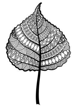 Zentangle black and white tree leaf on a white background.