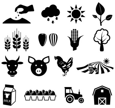 Agriculture icons, vector illustrations
