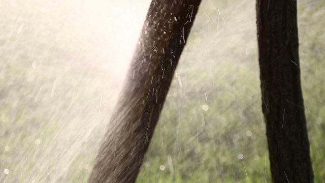 water springler